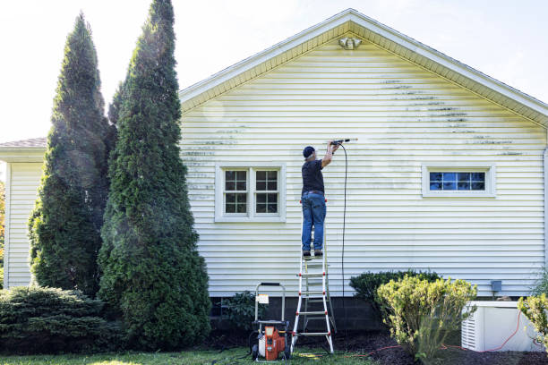 Best Garage Pressure Washing  in Texas City, TX