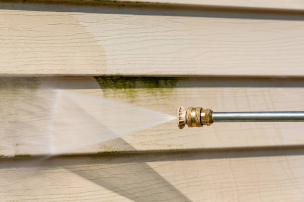 Best Pressure Washing Near Me  in Texas City, TX